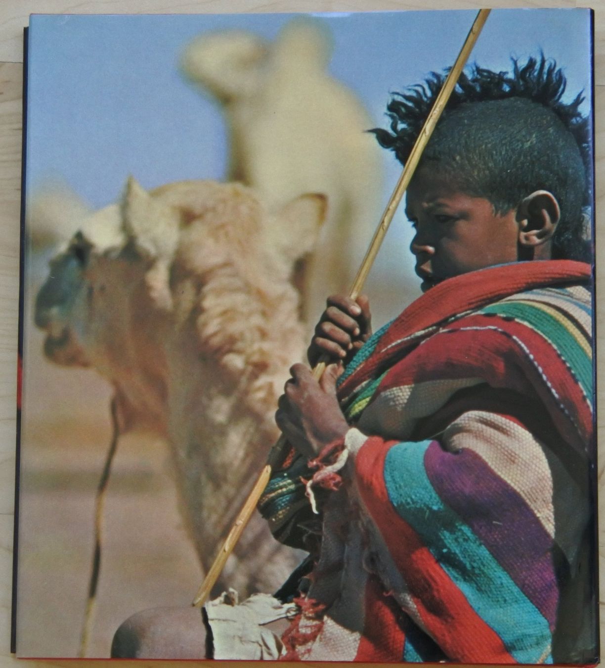 Libri: TUAREG Nomaden der Sahara – Usato da Bäch SZ venduto da Parog 6