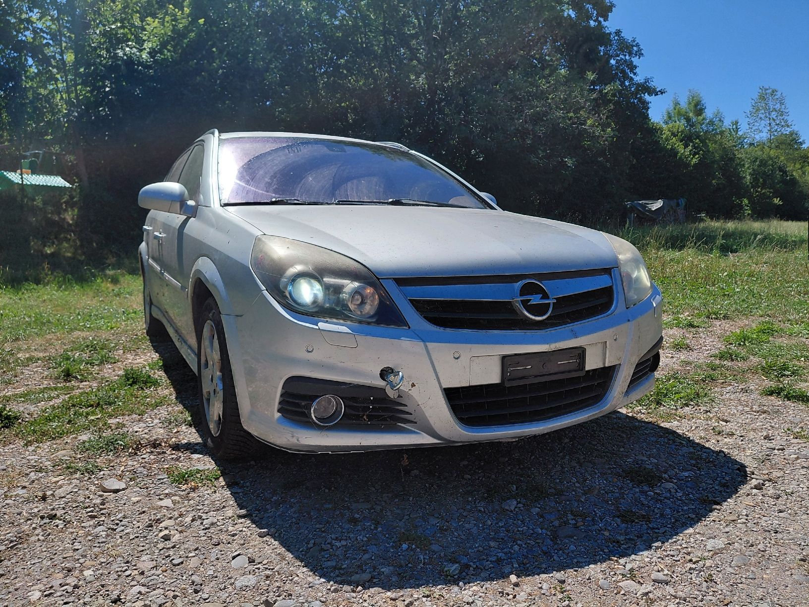 Opel Automobili: Opel Signum noch mfk. – Difettoso da Gachnang venduto da Camarino 1