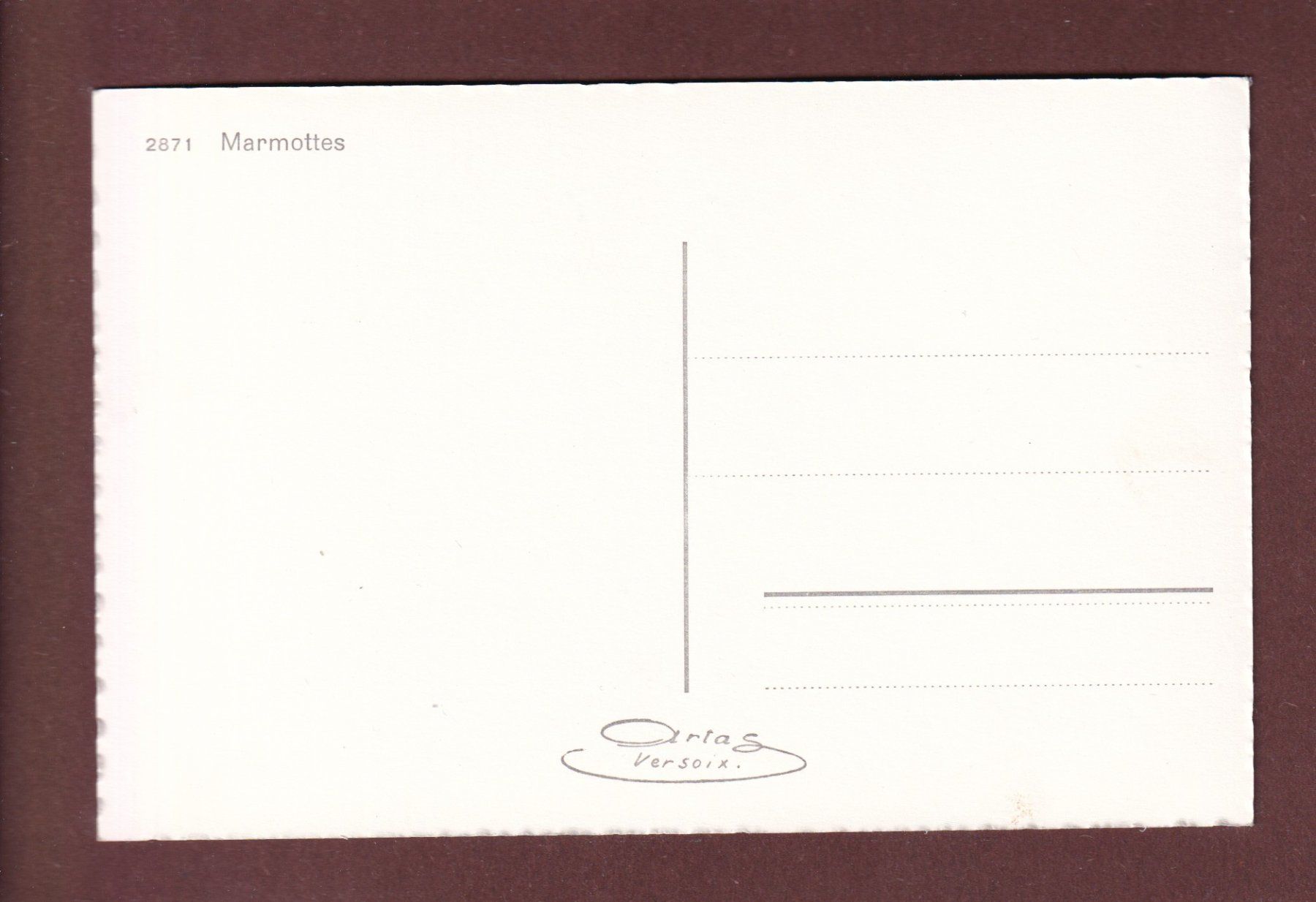 Ansichtskarten: MURMELTIERE / MARMOTTES – Gebraucht aus Pully von nicecards-shop 1
