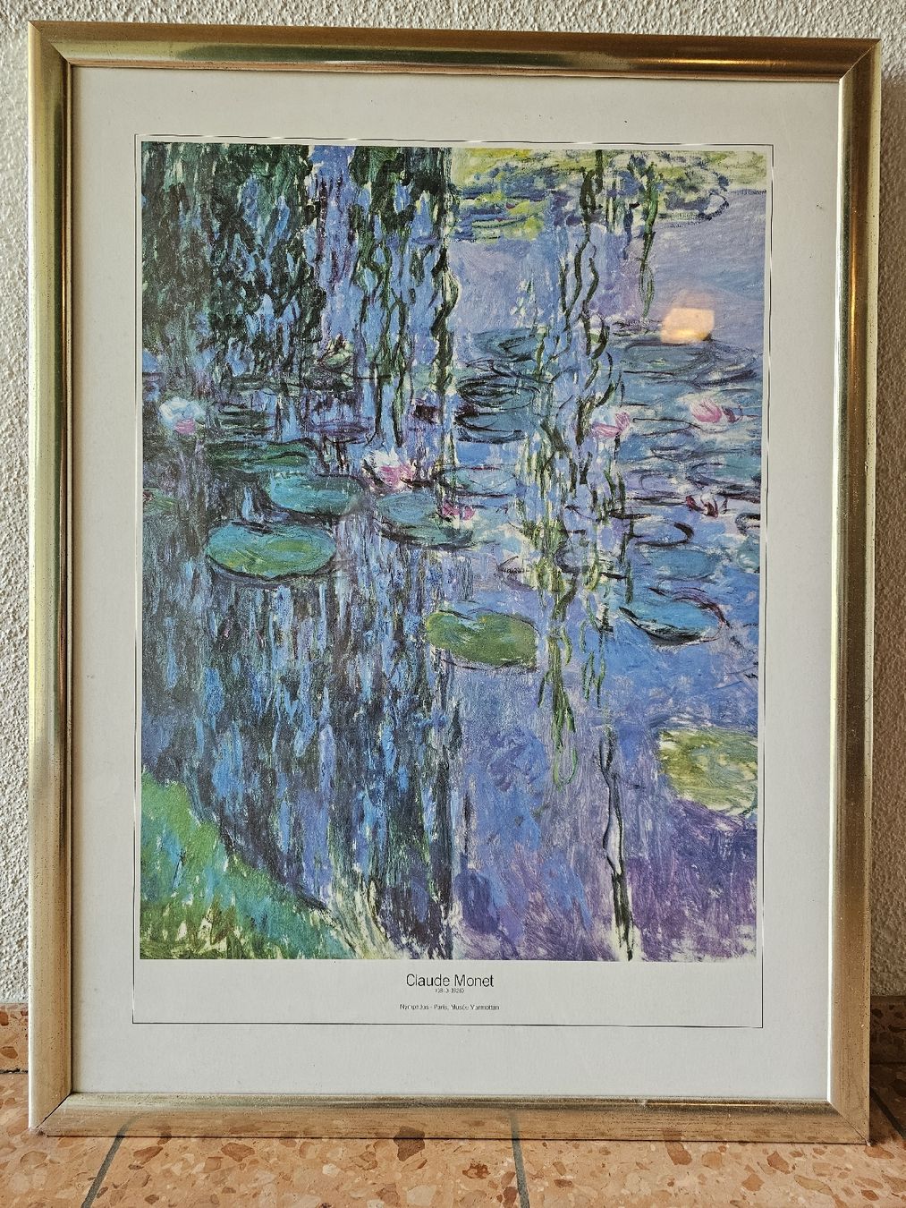 Foto & Immagini: Grosses Bild Teich Claude Monet Replica – Usato da Schneisingen venduto da backstore24