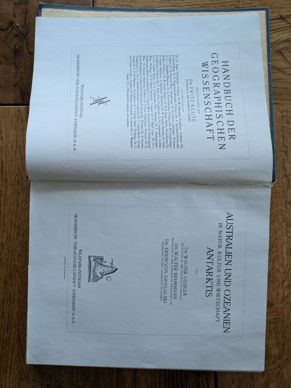 Libri: Handbuch geografische Wissenschaft – Usato da Rupperswil venduto da greenangel4 1