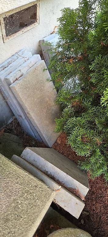 Piatti di portata: Gartenplatten – Usato da Graltshausen venduto da mad_58wq 1