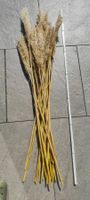 Dekor: Pampasgras (Länge: ca. 100 - 150 cm)