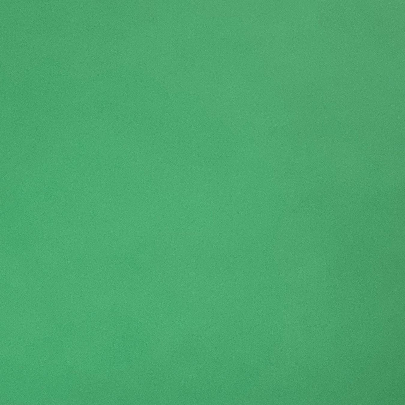 Pflanzen & Samen: grüne Pflanze – Neu und originalverpackt aus Adliswil von MarkyForest