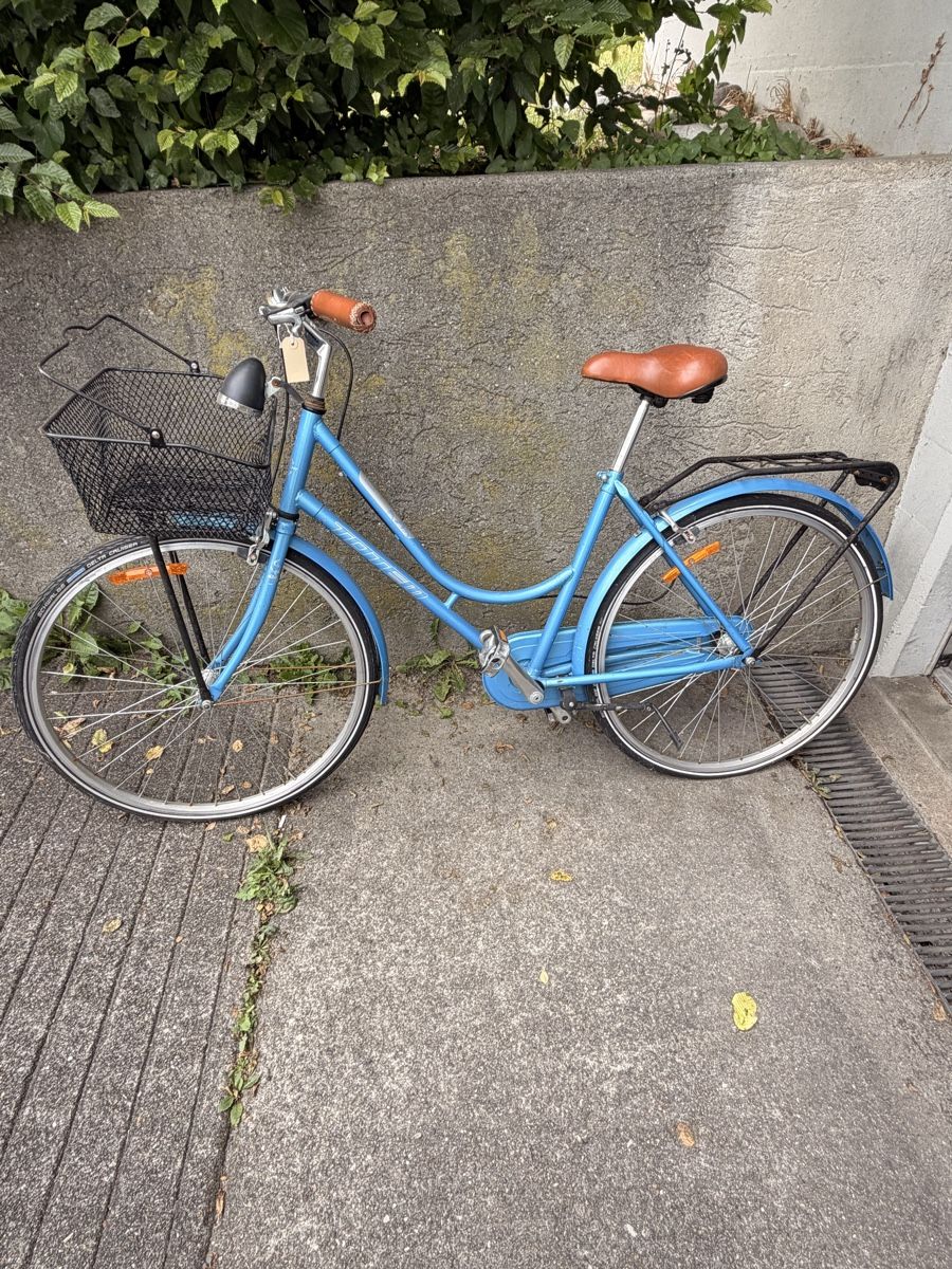 Biciclette: defektes Damenvelo – Difettoso da Emmenbrücke venduto da Nardi