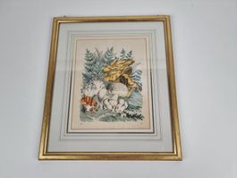 Wandbild Pilze
