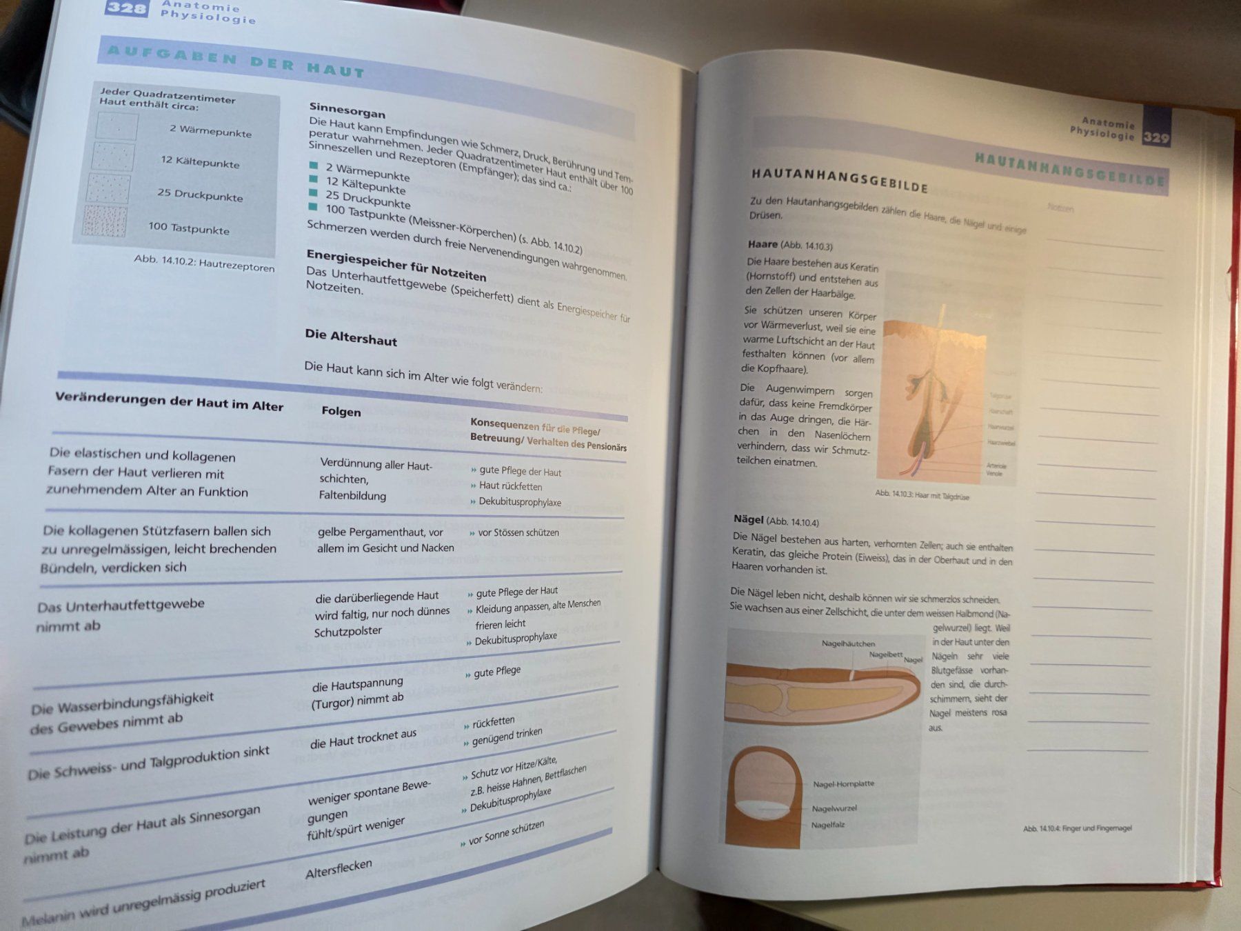 Libri: Lehrbuch Pflegeassistenz - Elisabeth Blunier 2005 – Usato da Walterswil BE venduto da Lonitti 7