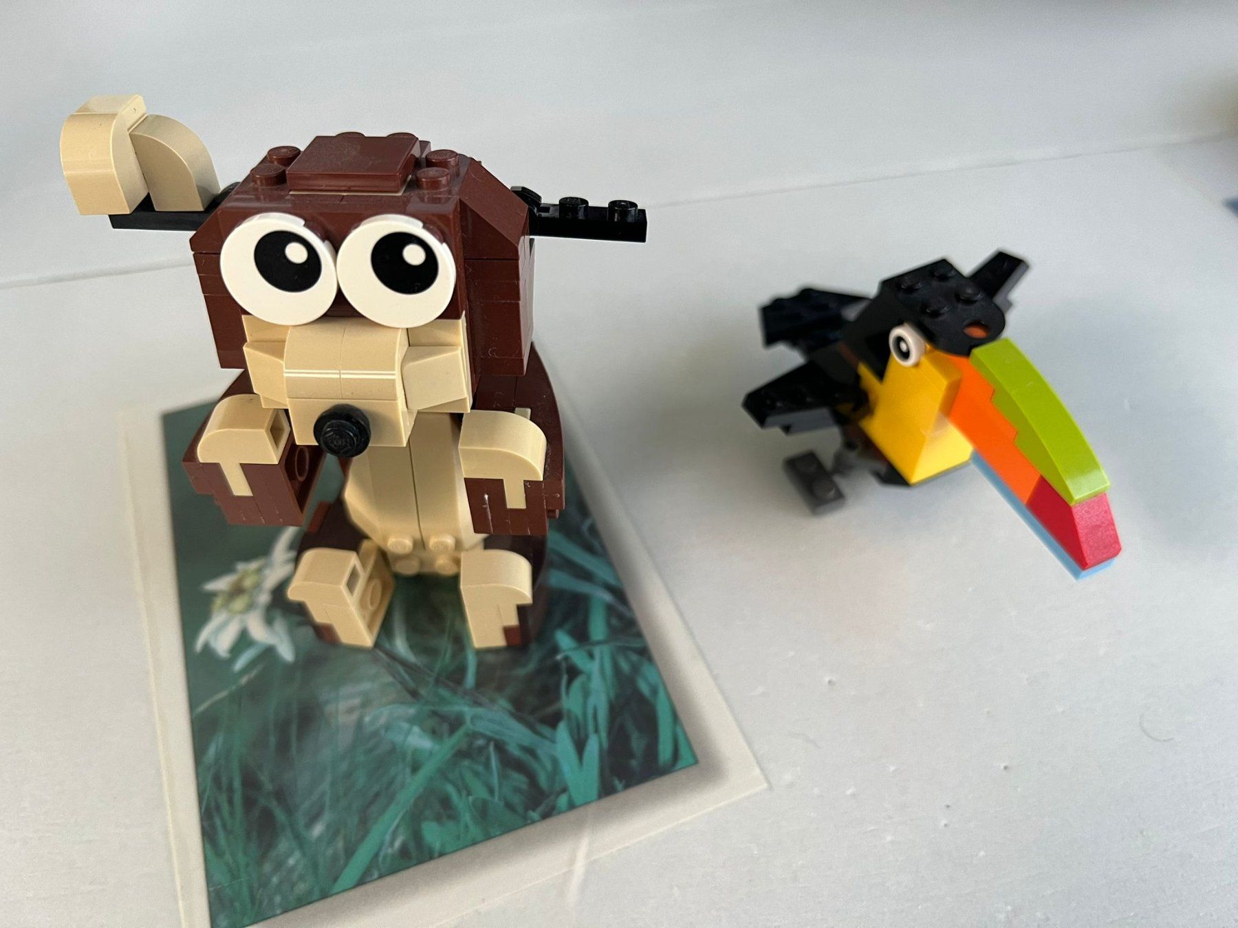 Lego Kit di costruzioni: Ourson et Toucan Lego 31019 – Usato da Muraz (Collombey) venduto da ale_mwc9