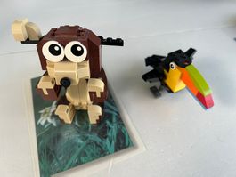 Ourson et Toucan Lego 31019