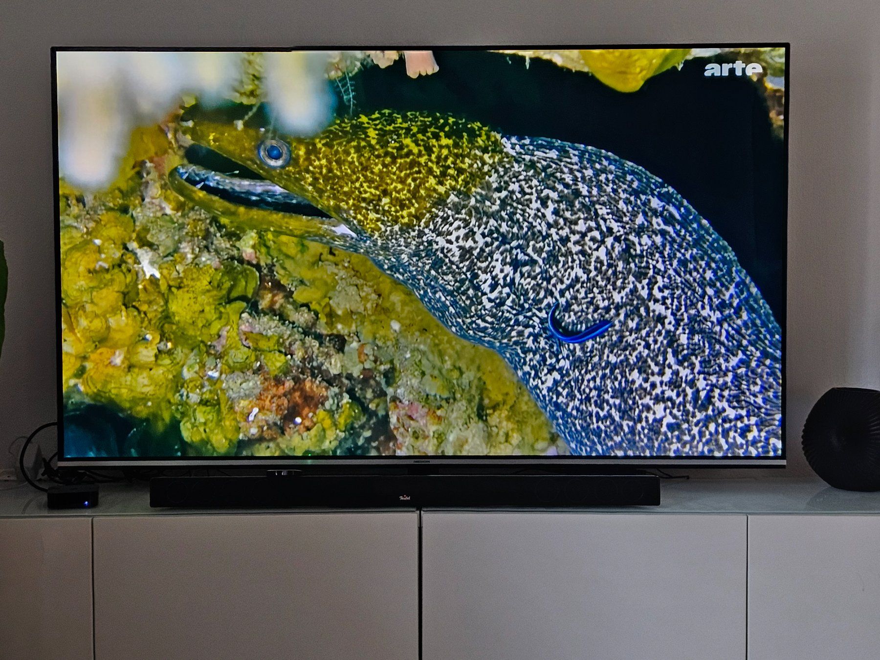 Fernseher: OLED Smart TV – Gebraucht aus Romanshorn von udo_ytq5 1