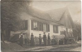 Landwirtschaft/Ochsen-Fuhrwerk 1910 ZH, TG oder AG?