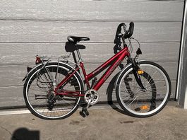 Bici da donna 