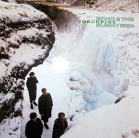 Echo & The Bunnymen - Porcupine (LP)