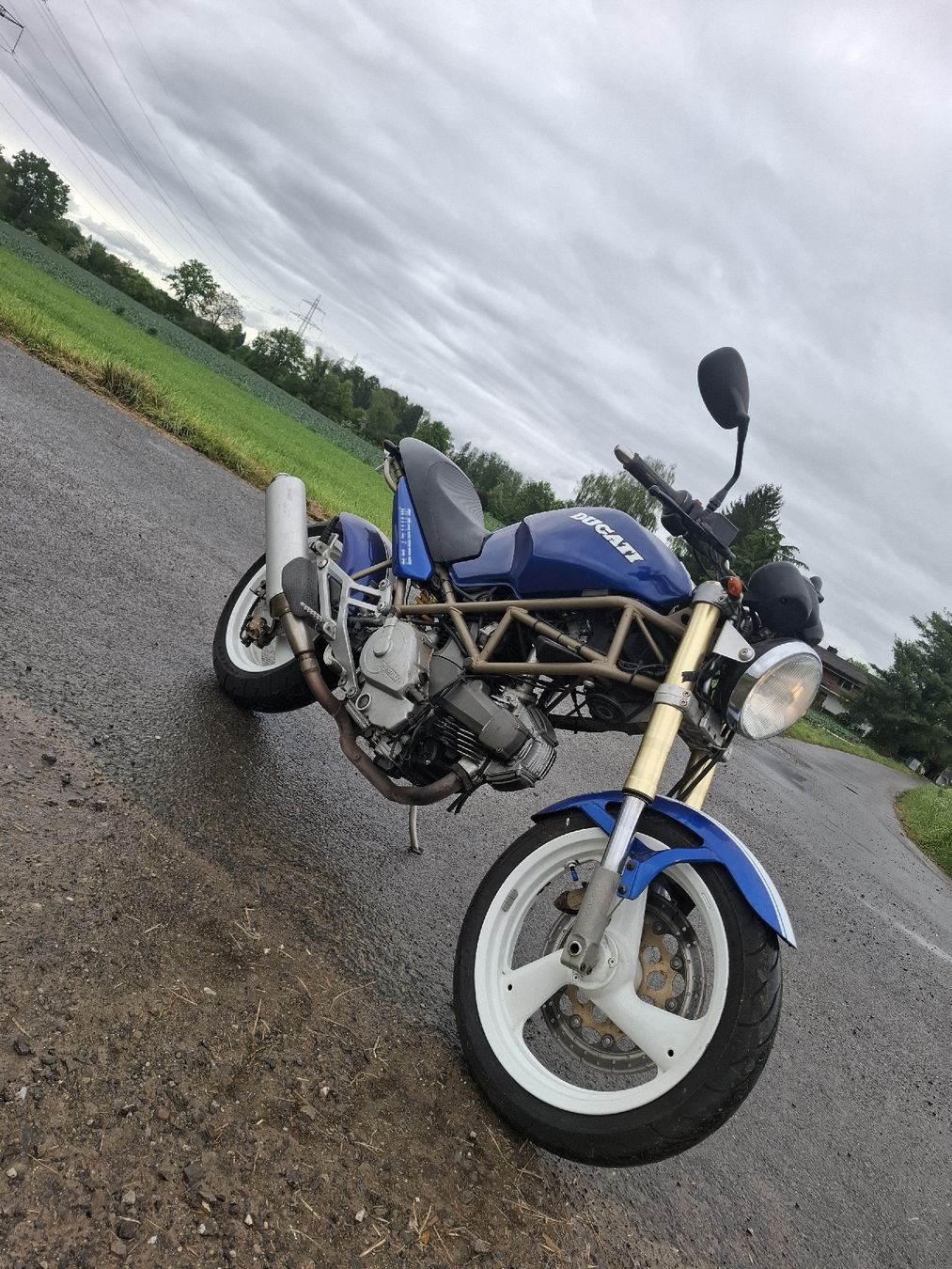 Ducati Strada: Ducati Monster 600 Motorrad wunderschön – Usato da Rotkreuz venduto da Babo21 4