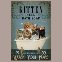 🐱 KITTEN BATH Katzen Blechschild 🎀 20x30cm OVP 🔥