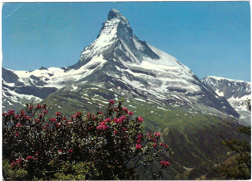 Cartoline postali: AK Zermatt - Matterhorn, VS – Usato da Rheinfelden venduto da wil_m7gh