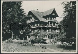 ZG Risch