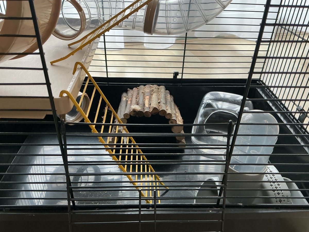 Terrariums: Hamster Käfig  – D'occasion à Allschwil par han_w8cx 7