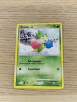 Roselia (Secret Wonders 62/132) kouki saitou