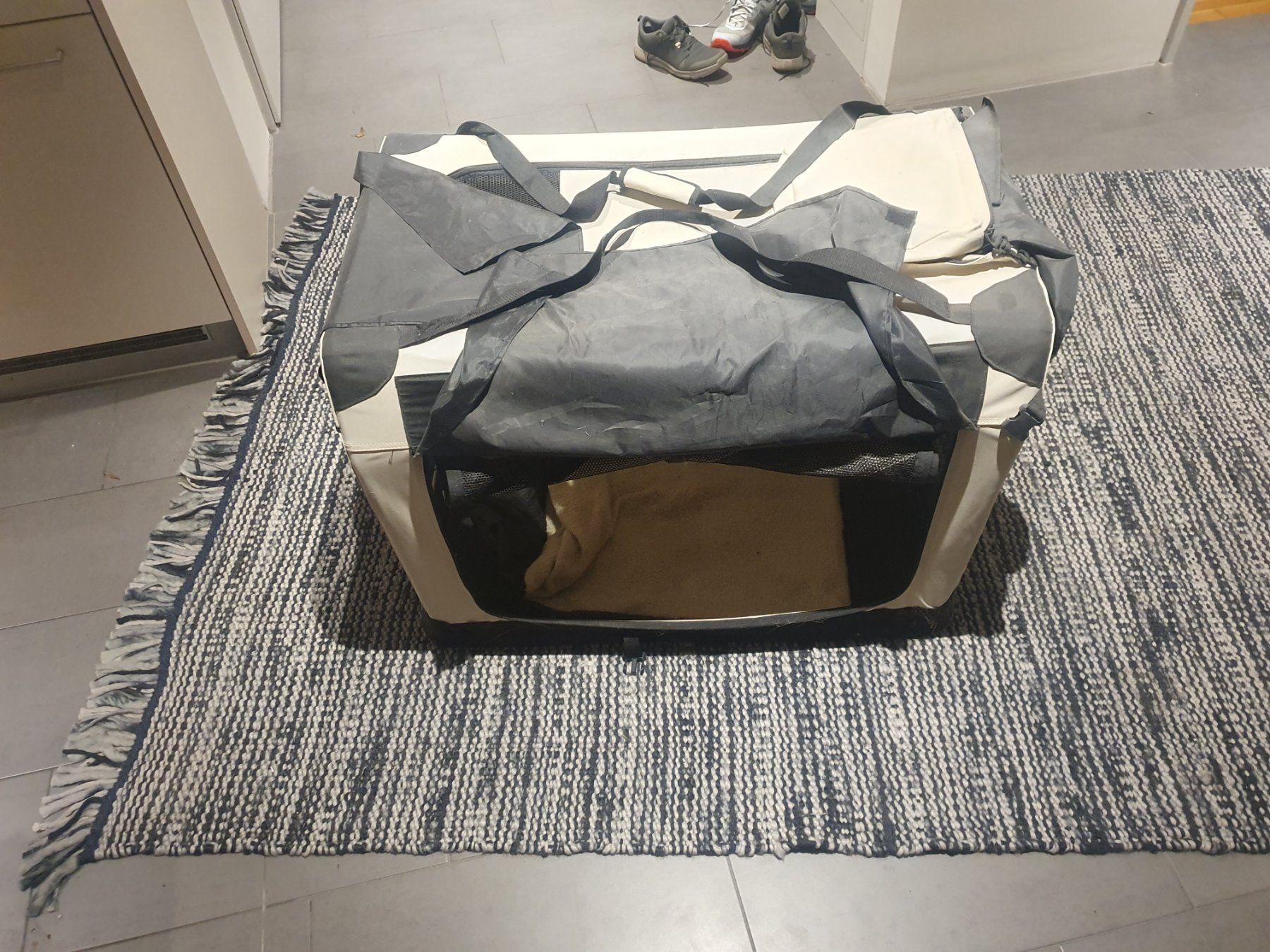 Liege- & Schlafplätze: Transportbox Hund gross – Neu (gemäss Beschreibung) aus Hirschthal von Devis203 3