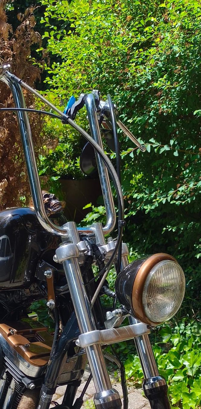 Harley-Davidson Chopper: HARLEY DAVIDSON XL 1200 C – Gebraucht aus fribourg von vak_kr6q 5