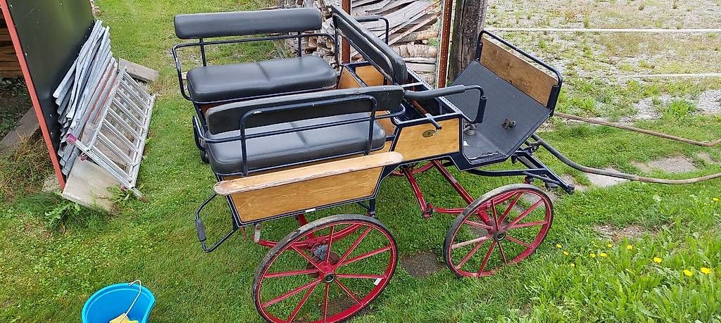 Calèches: Wagonette Kutsche – D'occasion à Wilderswil par adrian-haenggi