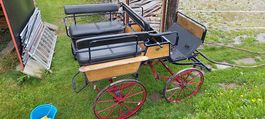 Wagonette Kutsche