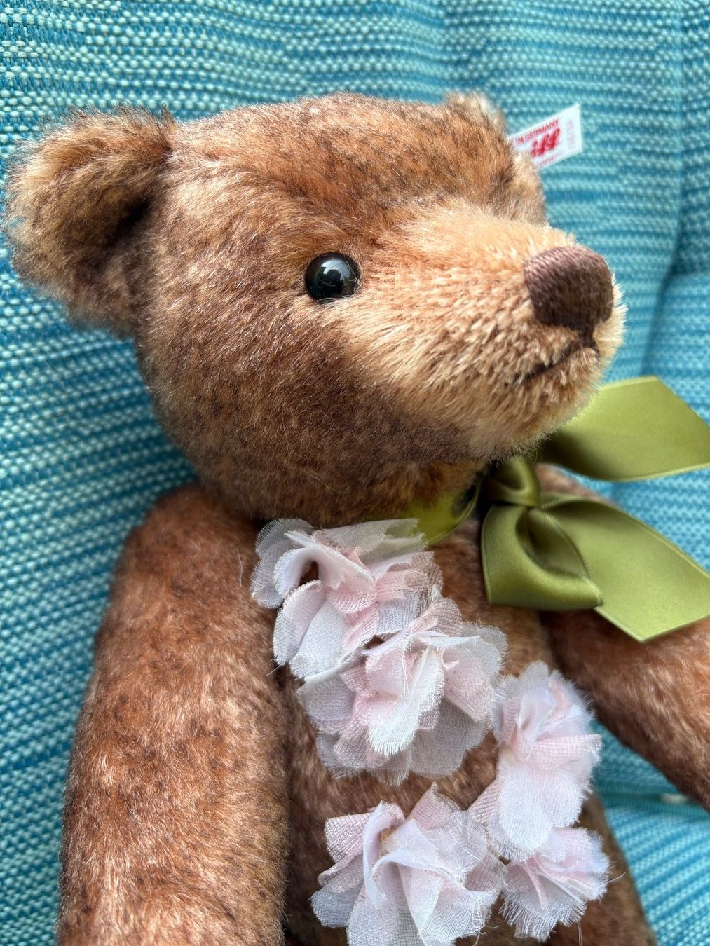 Steiff Spielzeuge: Steiff Teddy Cherry 2015 – Gebraucht aus Winterthur von reg_ld2g 3