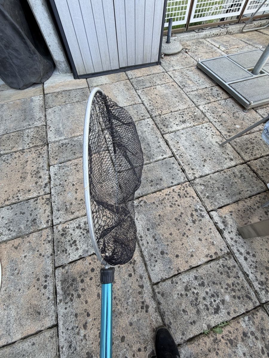 Supporti a parete: Teich Teleskop-Kescher 60cm – Usato da Altstätten SG venduto da Rschneider7 2