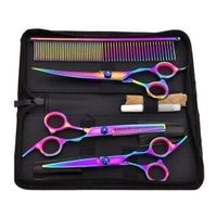 Ciseaux professionnels Kit du Coiffeur