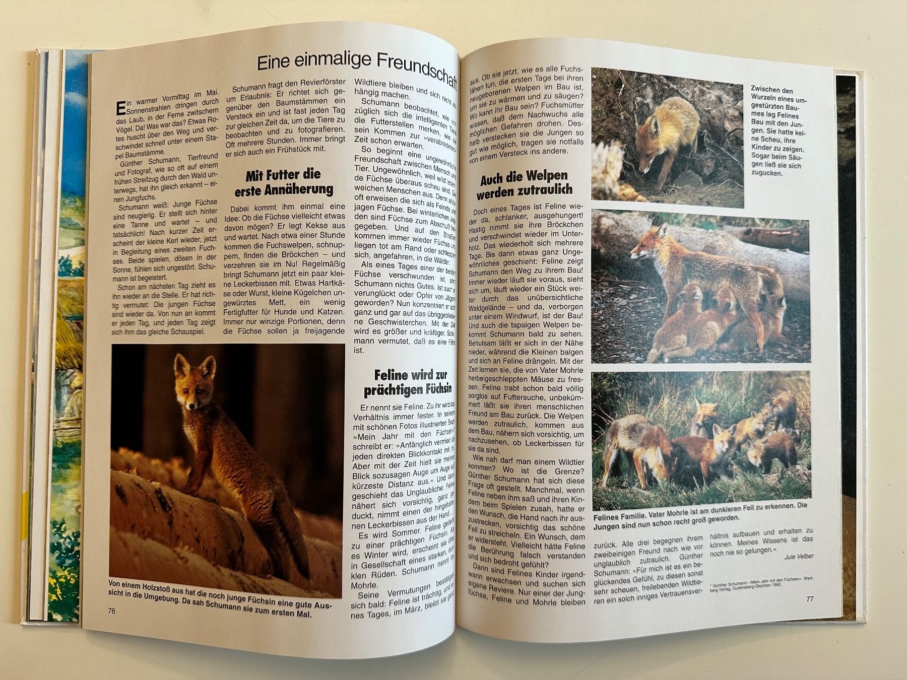 Libri: ALTES TREFF JUGENDBUCH 1994 – Usato da Münsingen venduto da Ganjam 8