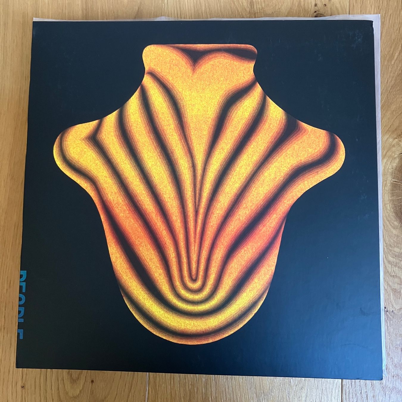 Dischi in vinile: Big Red Machine – Big Red Machine – Usato da Altdorf UR venduto da Metallic0