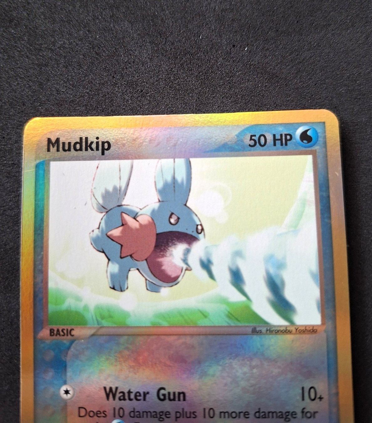 Pokémon Carte collezionabili: Mudkip [Reverse Holo] #65 Pokemon Dragon – Usato da Sugiez venduto da eLCangri90 2