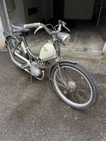 Pony Junior Sachs 502
