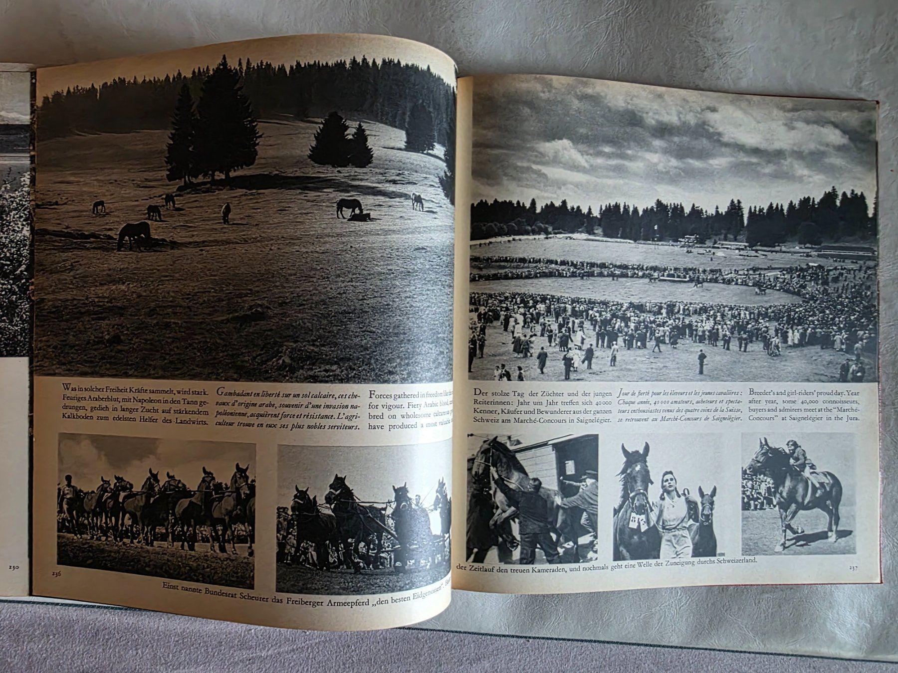 Bücher: Bern Buch - 1953 – Gebraucht aus Walterswil BE von Lonitti 9