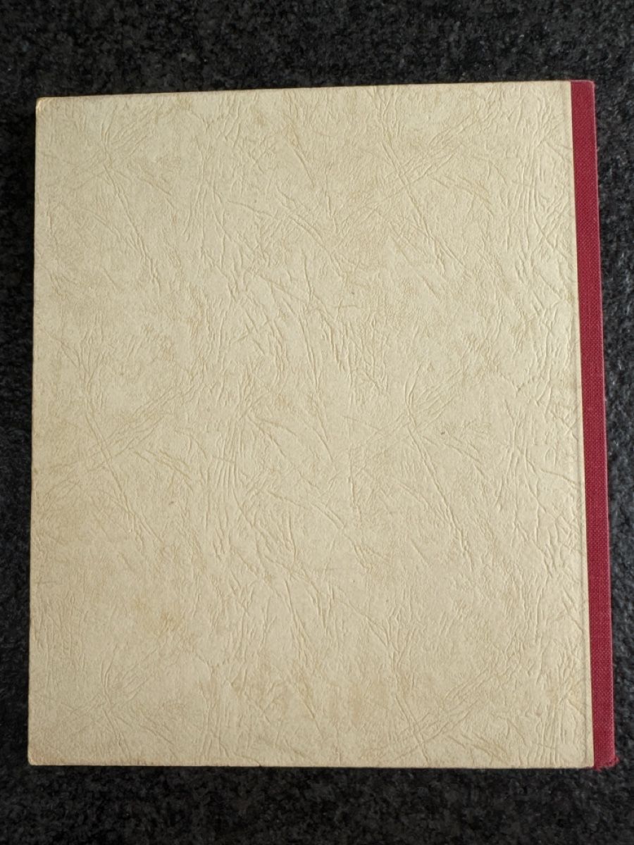 Libri: Kinderbuch Dildeldum, Buch Verlag F.W. Stritzinger – Usato da Eschenz venduto da Belladog 1