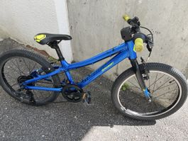 Kindervelo Bergamont