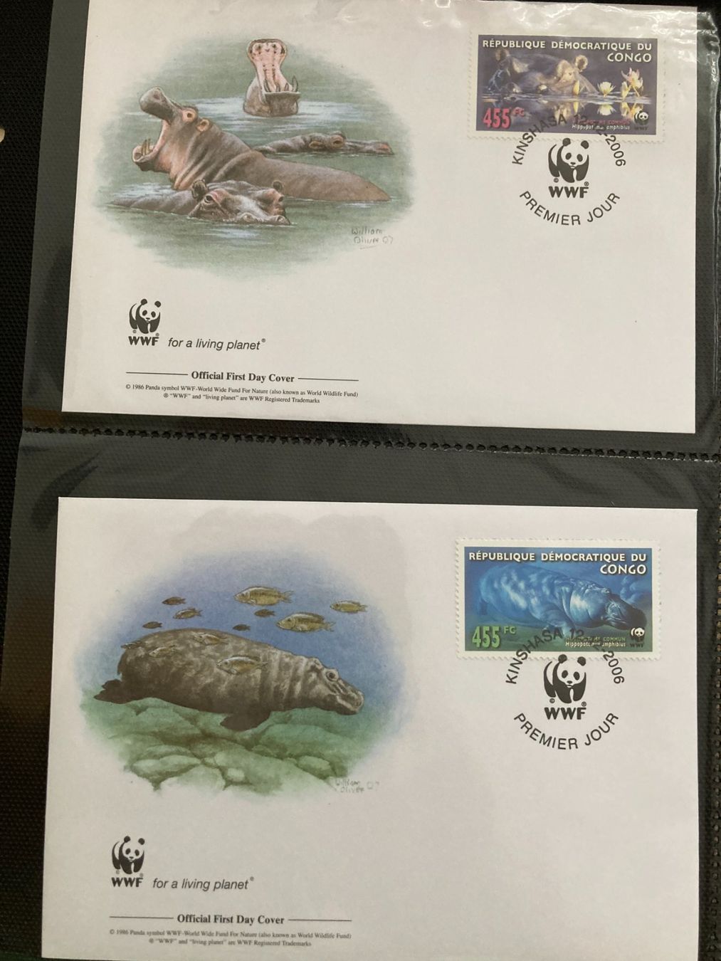 Tutti i francobolli: Kongo 2006 Satz WWF Flusspferd illustrierte Ersttagsbriefe – Nuovo (secondo la descrizione) da Liestal venduto da schnueps