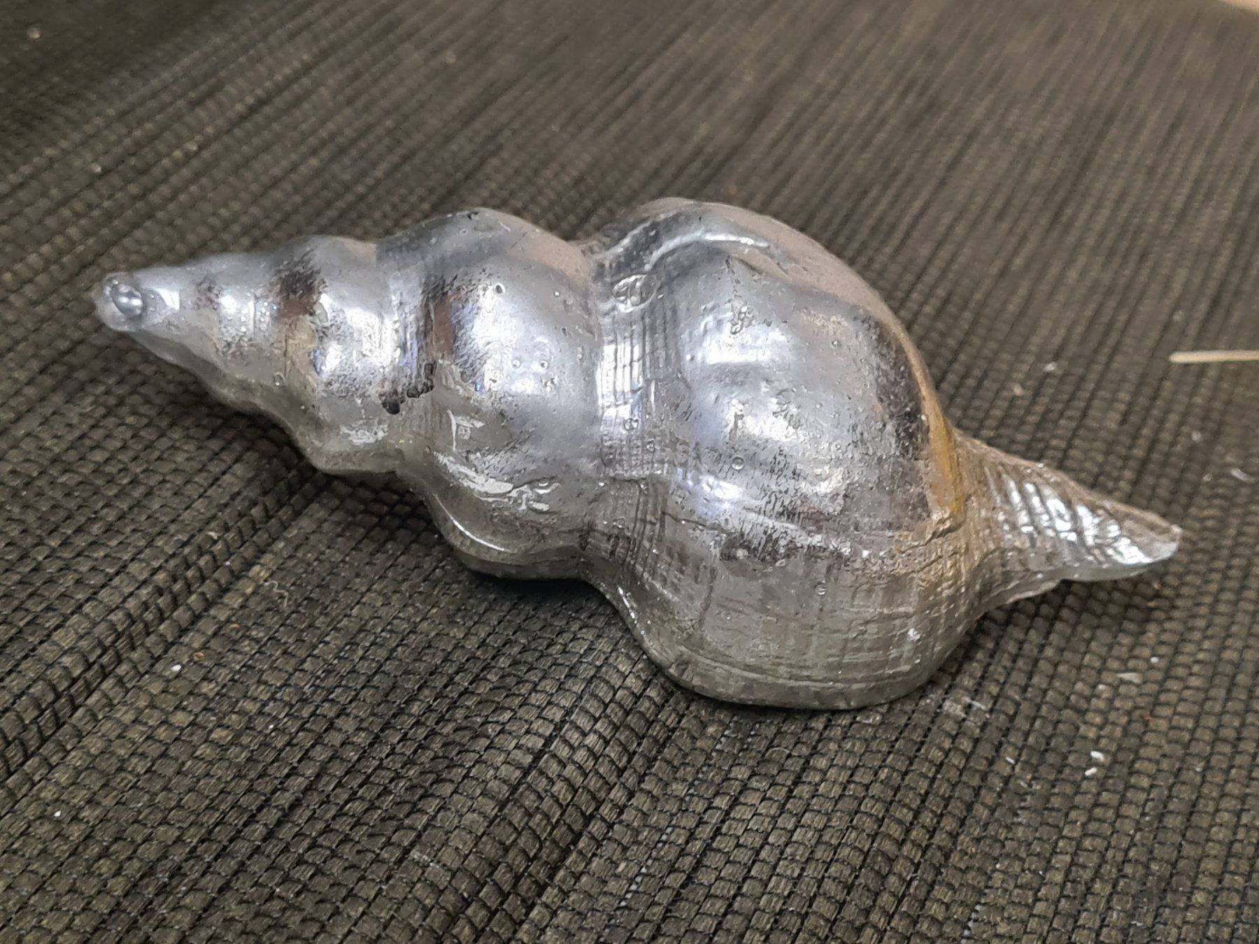 Tutte le decorazioni: Deko Muschel, ca L 12 cm – Usato da Amriswil venduto da kleindeko 1