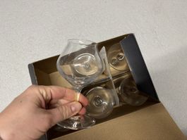 6er Set Schnapsgläser Chef Sommelier 17cl Gläser neuwertig