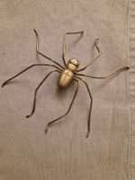 Spinne aus Messing