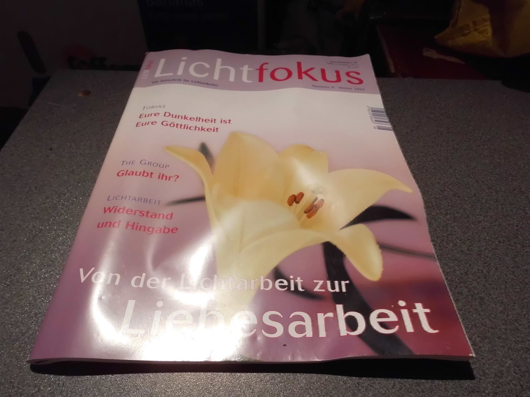Riviste & Magazine: Lichtfokus Nummer 8 / Winter 2004 – Usato da Zürich venduto da Motzkuh