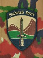 Verbandsabzeichen Fachstab Sport