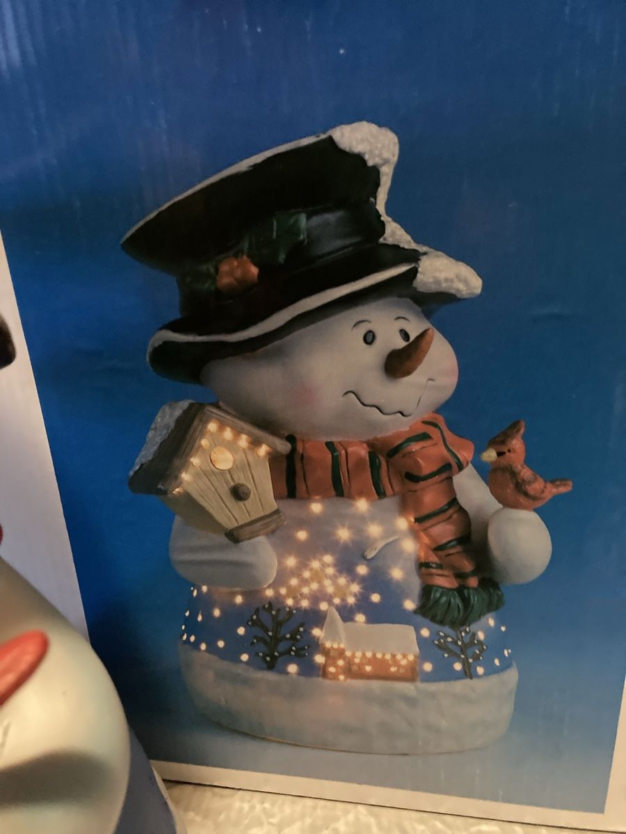 Tutte le decorazioni: Schneemann LED – Usato da Aarwangen venduto da to-hirschi 1
