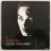 TERENCE TRENT D'ARBY - WISHING WELL