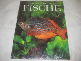 BUCH  FISCHE