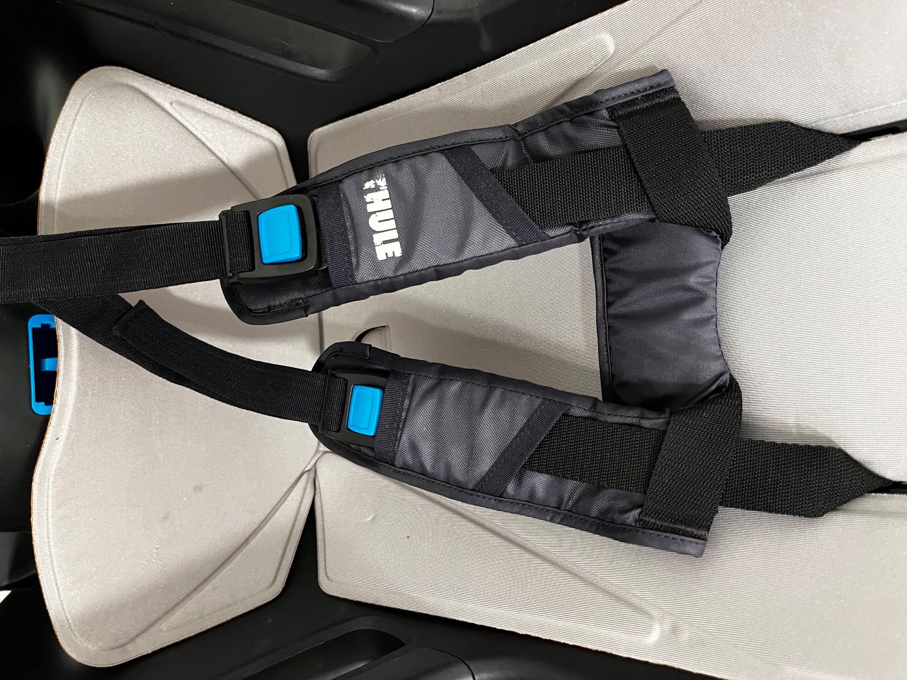 Thule Carrozzine: Thule RideAlong 2 zu verkaufen – Usato da Baar venduto da mar_5qp6 1