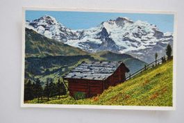AK Mönch, Jungfrau