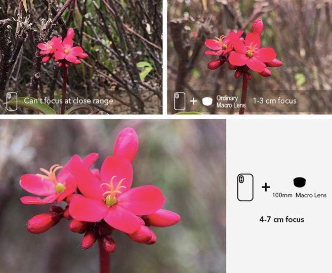 Obiettivi: HD Makro-Objektiv für Smartphone – Nuovo e nell'imballaggio originale da Châtelaine venduto da topshop.switzerland 7