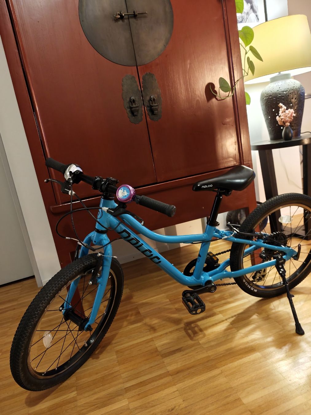 Naloo Velos: Naloo 20 Zoll  – Gebraucht aus Wallisellen von Chic_Living 3